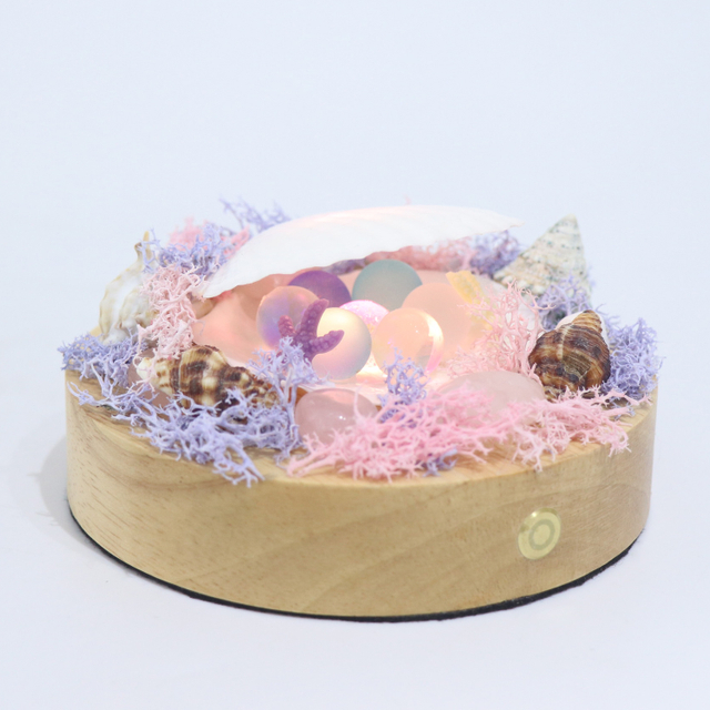 Cartoon Girl's Shell Conch Night Light