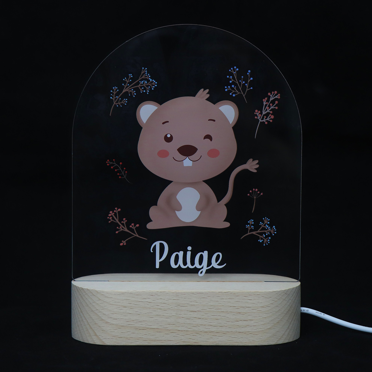 Acrylic UV Night Light in Bear Style