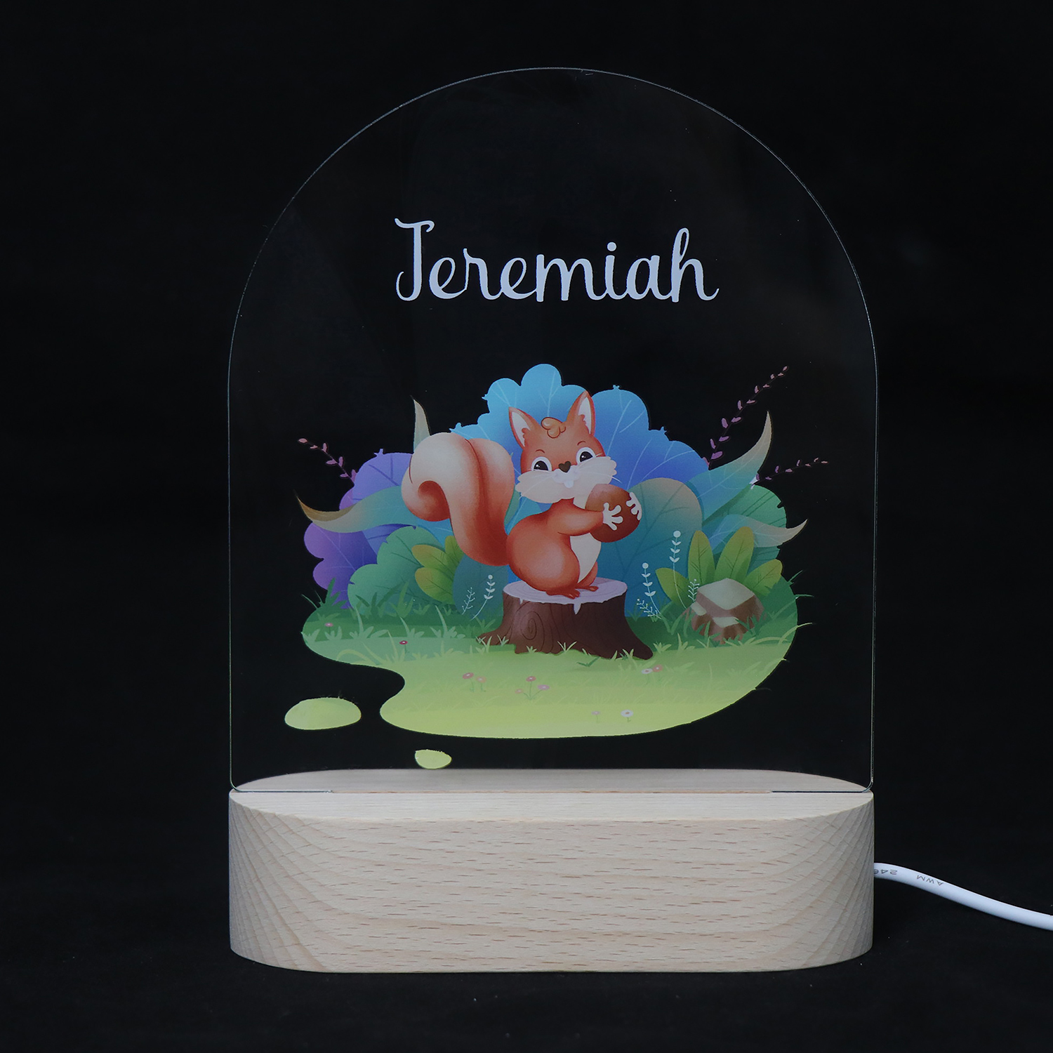 Personalized Photo UV Acrylic Small Animal USB Night Light